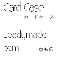 cardcaseleadyonly